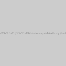 Image of SARS-CoV-2 (COVID-19) Nucleocapsid Antibody (biotin)